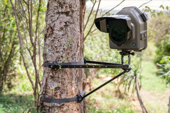 ट्रैप कैमरे, पगमार्क और डीएनए नमूनों से तय होगा बाघ का असली आंकड़ा 3 1758100308 WhatsApp Image 2025 09 17 at 14.35.08